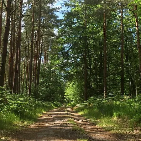 Seestück * Prerow